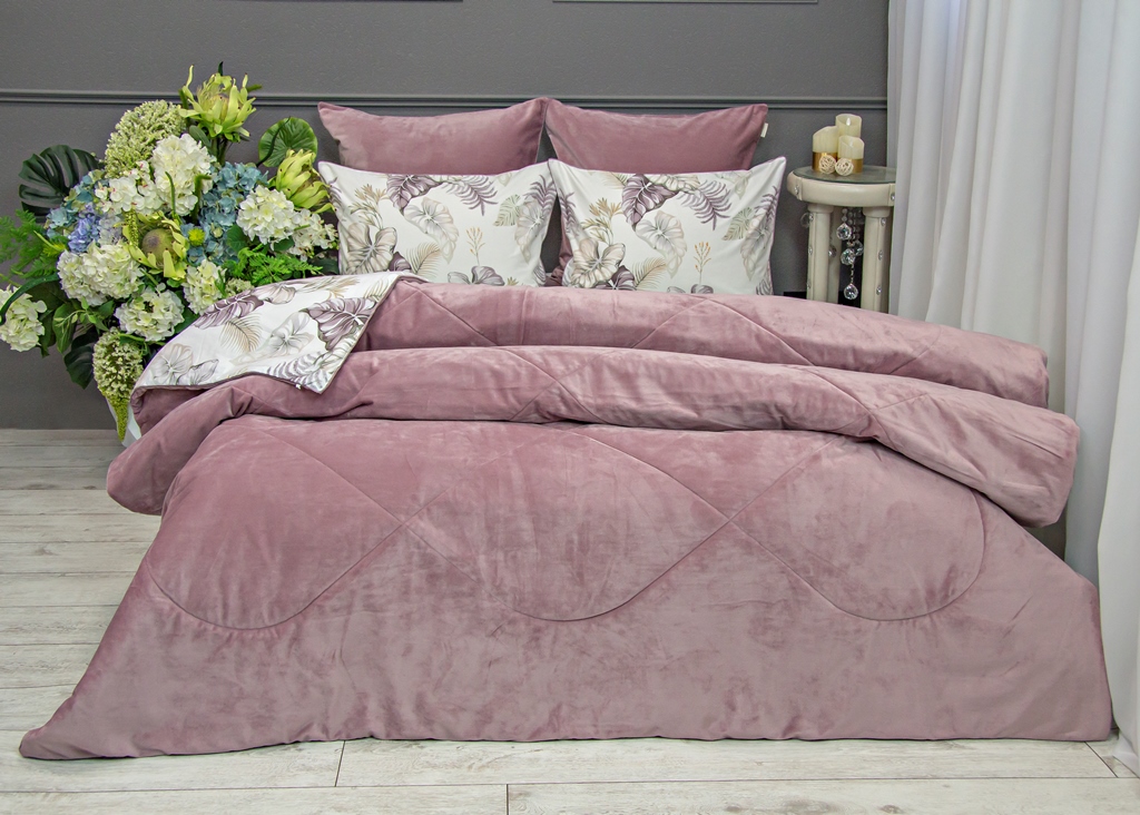 Этери (роза антика) Cotton Казанова